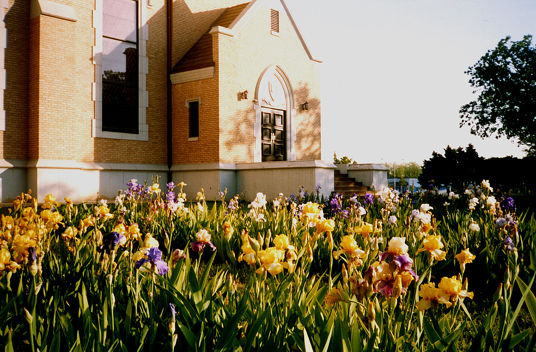 Iris Garden by Radford before Visitor's Center extension