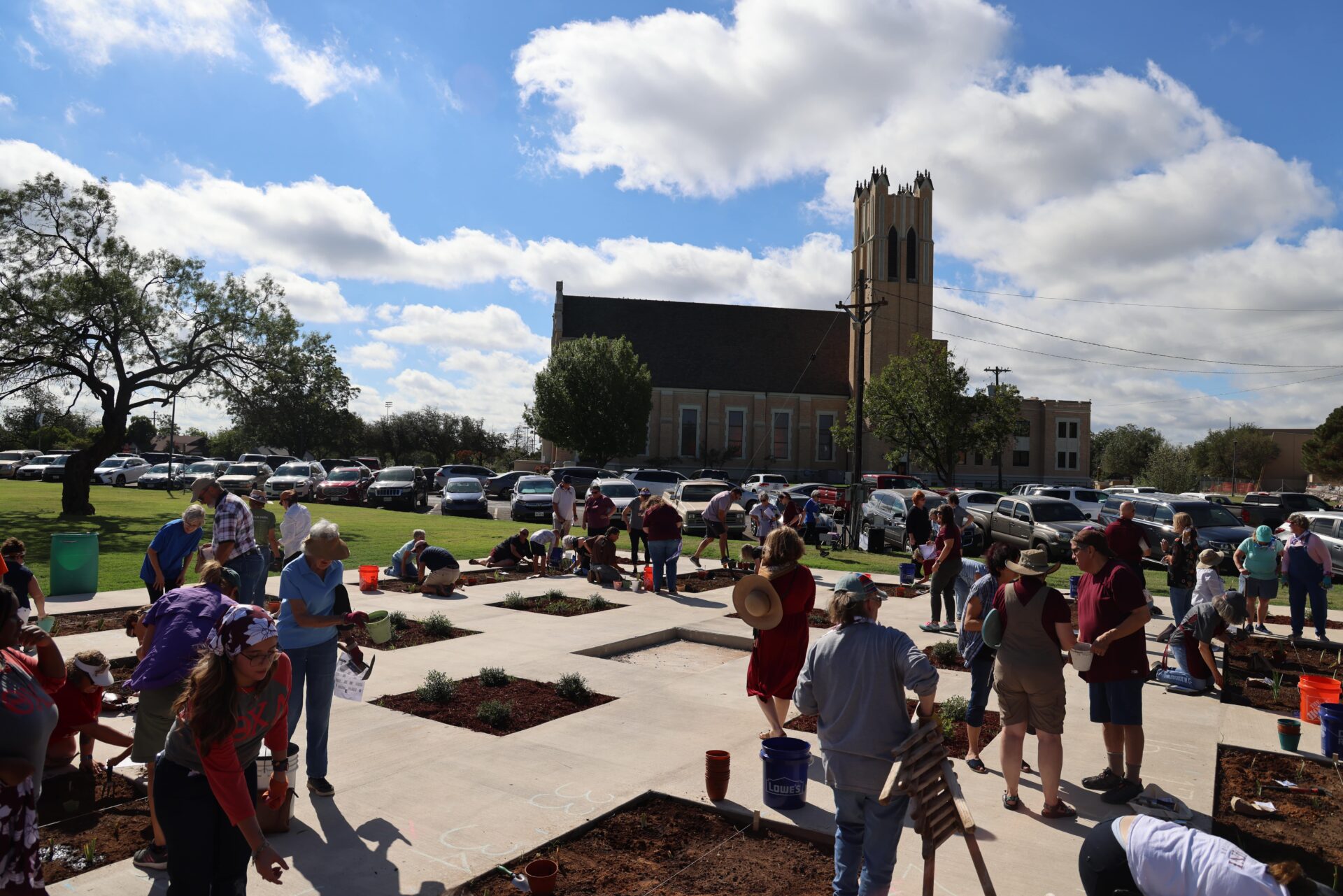 McMurry University Welcomes Community  for Centennial Iris Garden Planting Saturday, Sept. 17 at 10 am