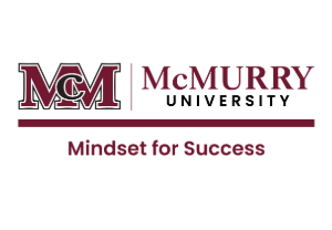 Mindset for Success Office (MSO)