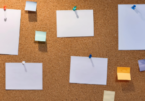 Campus Posting Guidelines